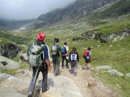 PARCO GRAN PARADISO - Tornano i campi estivi di volontariato nel Parco