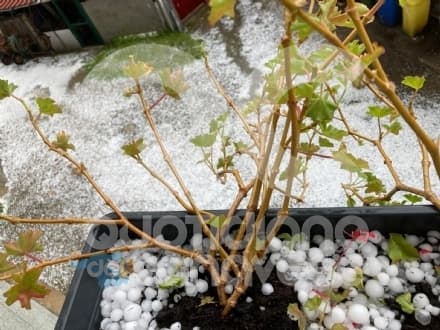 FORNO CANAVESE - Temporale con violenta grandinata. Allagamenti a Castellamonte - FOTO e VIDEO