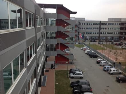 IVREA - Per non pagare la parcella invia foto e video hard...