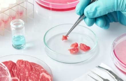 CANAVESE - I Comuni con Coldiretti contro il cibo sintetico