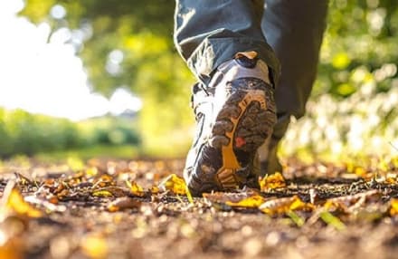 MAZZE' - Via Romea Canavesana: tutto pronto per la camminata «Di santuario in pieve»