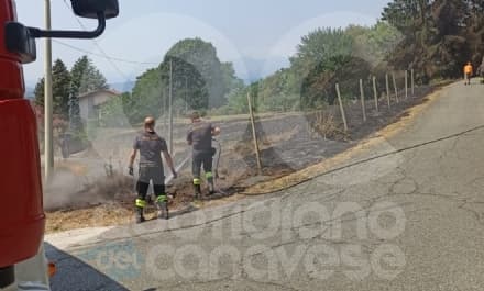 BOLLENGO - Incendio sulla serra, fiamme vicino a boschi e case: intervento dei vigili del fuoco - FOTO