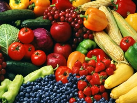 SAN BENIGNO - E' partito nelle scuole «Il giro del mondo in 8 menù»