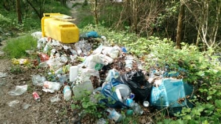 MAIALI IN AZIONE - Le sponde dell'Orco piene di rifiuti: scempio ambientale tra Rivarolo e Castellamonte - FOTO