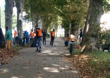 RIVAROLO - Profughi al lavoro per togliere le foglie dal viale - FOTO