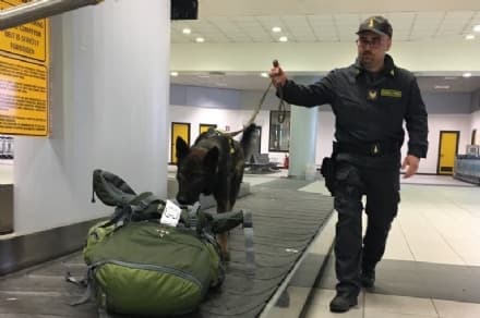 CASELLE - Sequestrati migliaia di euro grazie al fiuto del cane Escos