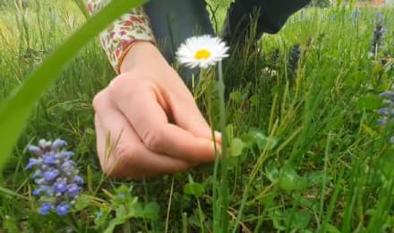 RIVAROLO - Basta con l'hashtag #andràtuttobene. Dall'Aldo Moro il video per #unNuovoDomani - VIDEO