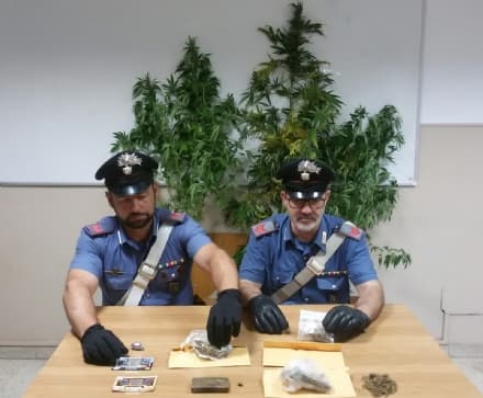 CASTELLAMONTE - Piantagione di cannabis a Spineto: un 35enne arrestato dai carabinieri
