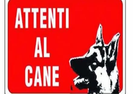 PERTUSIO - I cani meglio dell'antifurto: svegliano mezzo paese e mettono in fuga i ladri