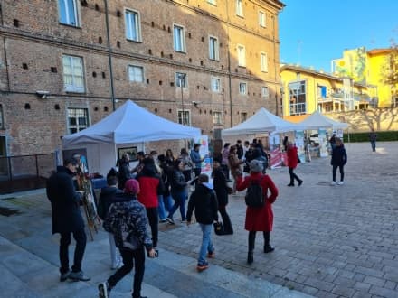 CHIVASSO - Tanti studenti al XVII Salone dell'orientamento
