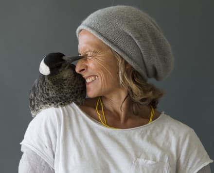 CINEMA - La storia vera di Sam e Penguin