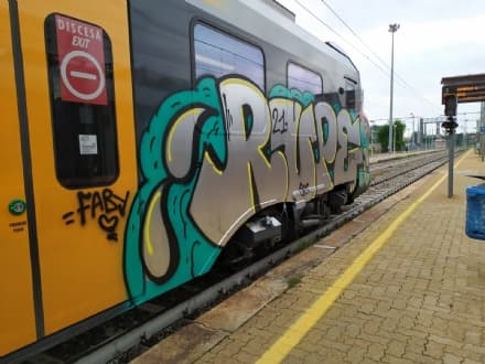 RIVAROLO CANAVESE - Telecamere e più pattuglie di vigili e carabinieri per ridurre a zero gli atti vandalici contro i treni della Canavesana