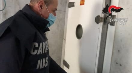 CHIAVERANO - Quasi una tonnellata di carne mal conservata in macelleria: blitz dei carabinieri del Nas. Denunciato il titolare