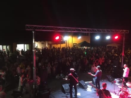 BORGIALLO - Torna il Borgiallo Blues Festival: un viaggio tra i segreti del blues