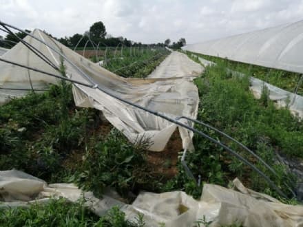 CANAVESE - Disastri del maltempo, i Comuni valutano la richiesta per lo stato di calamità naturale - FOTO