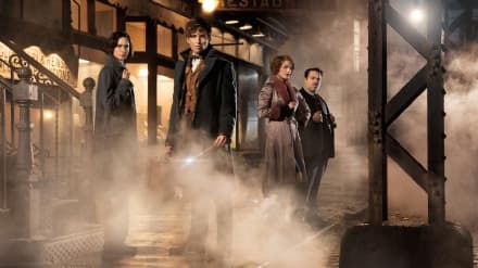 «Animali fantastici e dove trovarli» non è un film per bambini...