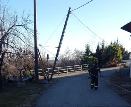 CANAVESE - Vento forte in numerosi Comuni: giù alberi e pali