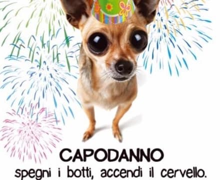 RIVAROLO - Botti vietati a Natale e Capodanno: ordinanza del sindaco Rostagno