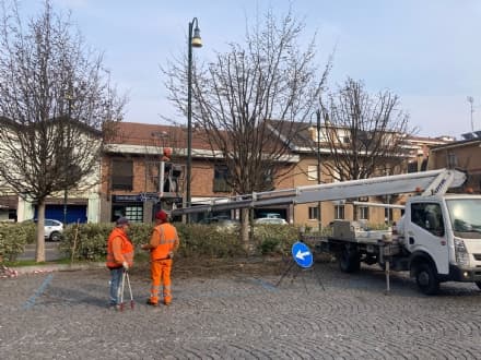 CHIVASSO - Città più green: potati e piantumati nuovi alberi - FOTO