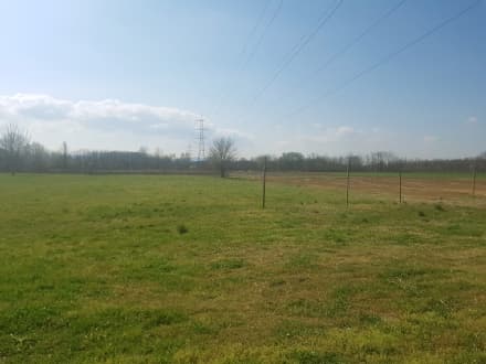 VOLPIANO - Un terreno abbandonato diventa il «frutteto comunitario»