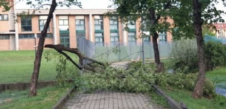 MAPPANO - Maltempo: la Regione stanzia i primi contributi