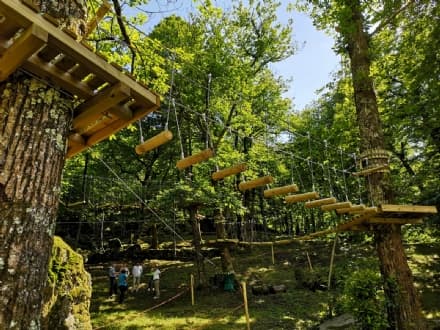 LOCANA - Apre il Parco Avventura Gran Paradiso: una nuova attrazione turistica nel cuore del Canavese - FOTO