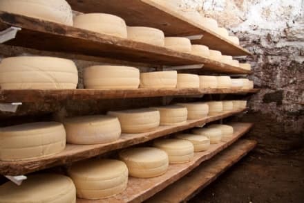 SALONE DEL GUSTO - Anche il Parco nazionale del Gran Paradiso protagonista