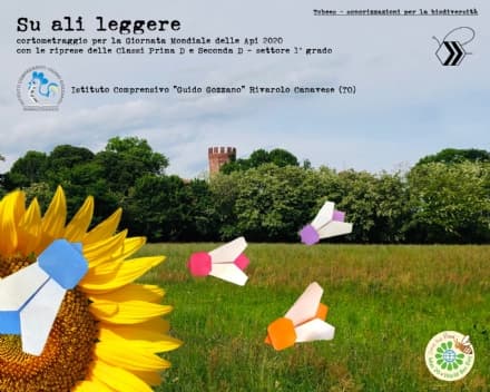 RIVAROLO - Due classi della scuola lanciano un video per la Giornata Mondiale delle Api insieme a Tobees - VIDEO