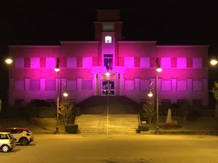 BOLLENGO - Il municipio è rosa per la lotta contro i tumori delle donne