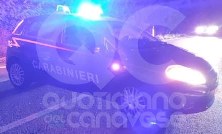 SAN BENIGNO CANAVESE - Tentano il furto di una cavalla gravida che scappa e viene investita sulla provinciale