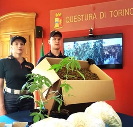 BORGARO-MAPPANO - Alla cascina Cà Bianca una maxi piantagione di marijuana: due arresti