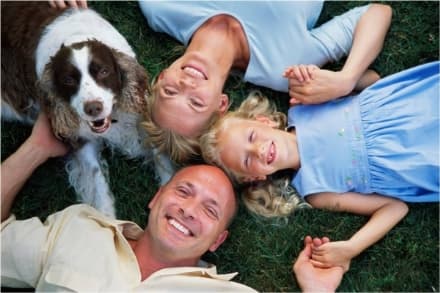 Pillole assicurative: famiglia e animali domestici