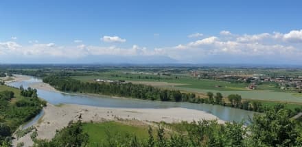 CHIVASSESE - Parte il progetto per creare una «Foresta condivisa del Po piemontese» e contrastare i cambiamenti climatici