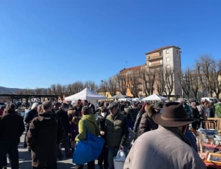 CHIVASSO - Torna protagonista al Foro Boario il Merca' d'La Tola