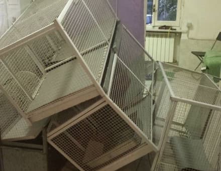 TORINO - Ambulatorio distrutto: canile costretto a chiudere. L'Enpa: «Sono stati i Rom»