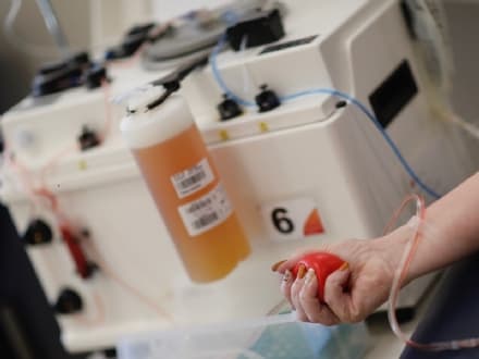 CORONAVIRUS - Al via in Piemonte la «Banca Regionale del plasma Covid-19»