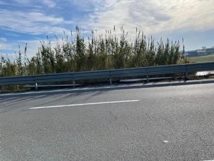 IVREA - Camion perde il carico, paura sul terzo ponte