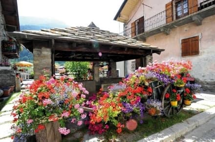 COMUNI FIORITI - Il Comune di Ingria candidato per l'Italia al «Communities in Bloom»