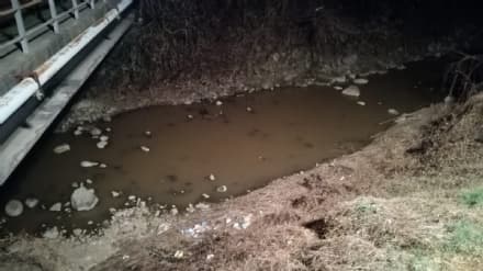 VALPERGA - Liquame sospetto nelle acque del torrente Gallenca