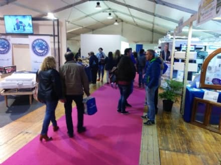 RIVAROLO - Fiera del Canavese: il bilancio dell'assessore Leone - VIDEO