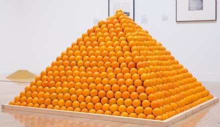 FISICA – Il dilemma delle montagne di frutta