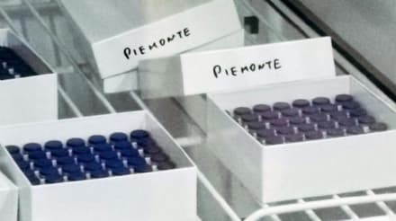 COVID - Il Piemonte vuole vaccinare 80mila persone entro fine mese