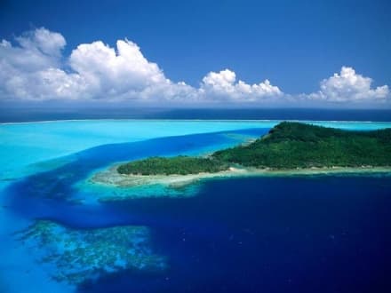 LAVORO - Custode del paradiso cercasi