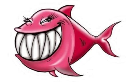 GIRO D'ITALIA - Salta la tappa di Ceresole Reale: «Disturba le marmotte in amore»