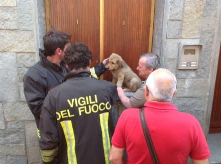 CASTELLAMONTE - Incendio alloggio: salvi pensionato e cane - VIDEO