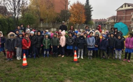 LEINI - Tre nuove querce piantate nel giardino della scuola Anna Frank