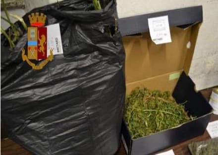 IVREA - Giovane di 17 anni arrestato dalla polizia per spaccio