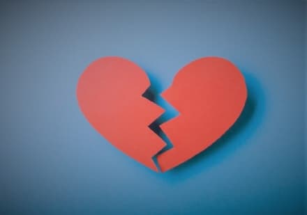 Il povero gabbiano va dallo psicologo: quando una relazione finisce