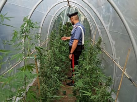 CANAVESE - Controlli dei carabinieri nella settimana di Ferragosto: due arresti e tre denunce - VIDEO