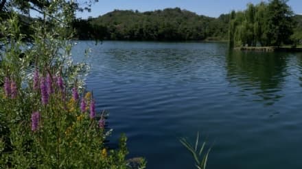 CHIAVERANO - Parco dei Cinque Laghi, il sindaco: «Tutto fermo a causa di Coldiretti»